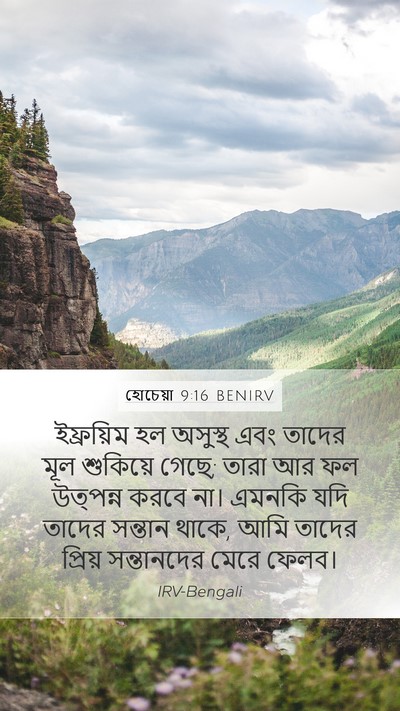 হোচেয়া 9:16 BENIRV Bible Verse Image