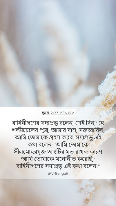 হ্গ্গয় 2:23 BENIRV Bible Verse Image