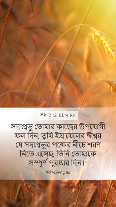 ৰূথ 2:12 BENIRV Bible Verse Image