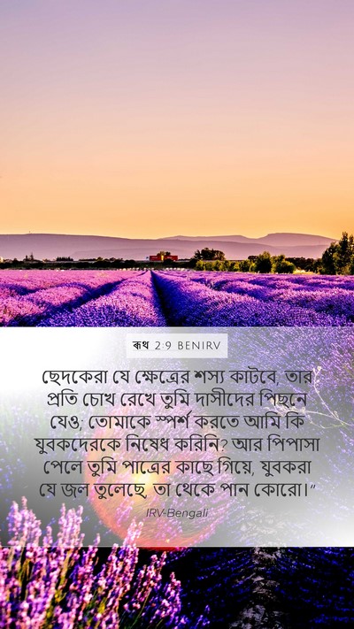 ৰূথ 2:9 BENIRV Mobile Phone Wallpaper - ছেদকেরা যে - Mobile Bible Verse Wallpaper