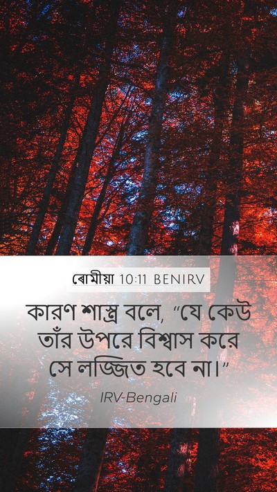 ৰোমীয়া 10:11 BENIRV Bible Verse Image