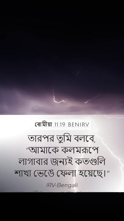 ৰোমীয়া 11:19 BENIRV Bible Verse Image