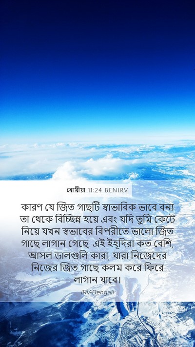 ৰোমীয়া 11:24 BENIRV Bible Verse Image