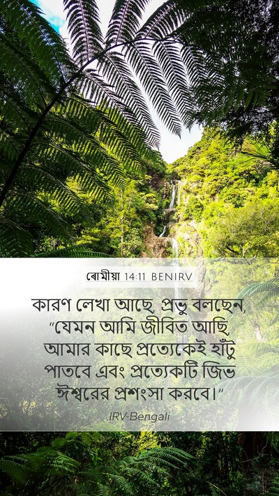 ৰোমীয়া 14:11 BENIRV Bible Verse Image