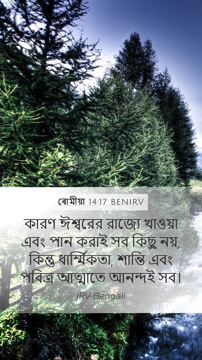 ৰোমীয়া 14:17 BENIRV Bible Verse Image