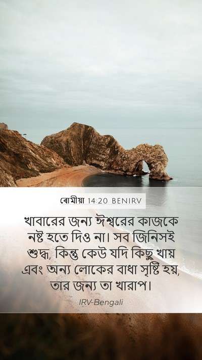 ৰোমীয়া 14:20 BENIRV Bible Verse Image