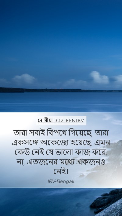 ৰোমীয়া 3:12 BENIRV Bible Verse Image