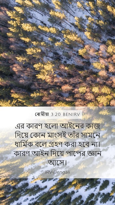 ৰোমীয়া 3:20 BENIRV Bible Verse Image