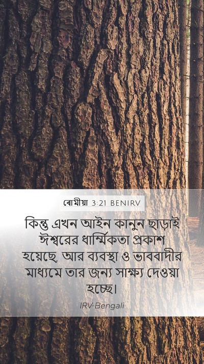 ৰোমীয়া 3:21 BENIRV Bible Verse Image