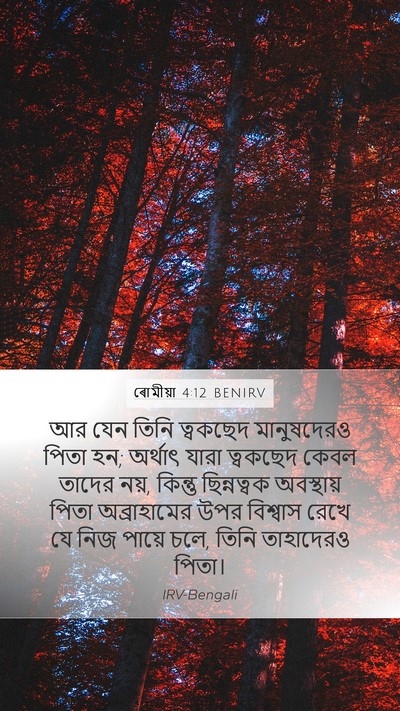 ৰোমীয়া 4:12 BENIRV Bible Verse Image