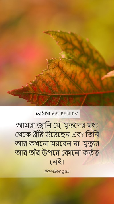 ৰোমীয়া 6:9 BENIRV Bible Verse Image