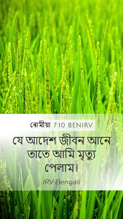 ৰোমীয়া 7:10 BENIRV Bible Verse Image