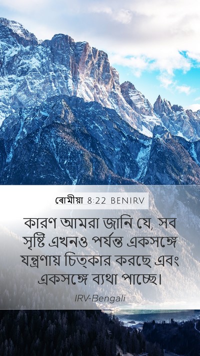 ৰোমীয়া 8:22 BENIRV Bible Verse Image