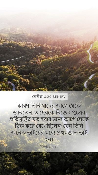 ৰোমীয়া 8:29 BENIRV Bible Verse Image