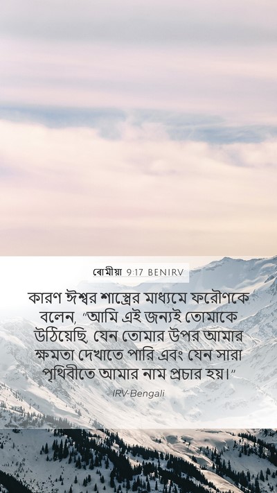 ৰোমীয়া 9:17 BENIRV Bible Verse Image